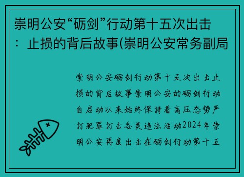 崇明公安“砺剑”行动第十五次出击：止损的背后故事(崇明公安常务副局长)