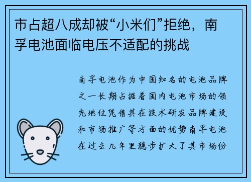 市占超八成却被“小米们”拒绝，南孚电池面临电压不适配的挑战