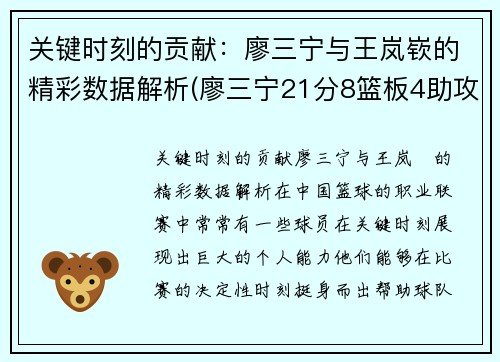 关键时刻的贡献：廖三宁与王岚嵚的精彩数据解析(廖三宁21分8篮板4助攻)